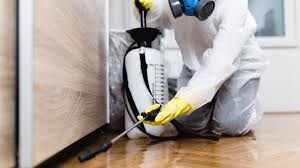 Trusted Punta Gorda, FL Pest Control Experts